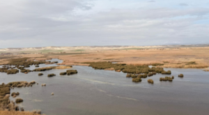 Eskişehir’de doğaya ve geleceğe yönelik etkinlik Eskişehir’de doğaya ve geleceğe yönelik etkinlik