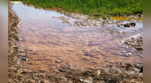 Tarımsal sulamada kaçak elektrik kullanımı 5 milyar kWh’ye ulaştı