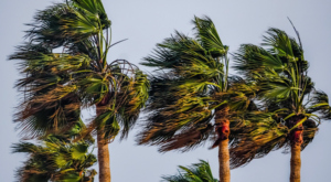 Meteoroloji’den Kuzey Ege için fırtına uyarısı