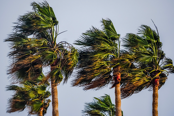 Meteoroloji’den Kuzey Ege için fırtına uyarısı Meteoroloji’den Kuzey Ege için fırtına uyarısı