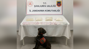 Haliliye’de uyuşturucu operasyonu Haliliye’de uyuşturucu operasyonu