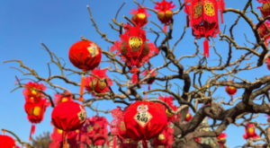 Xi Jinping’den Iowa’daki dostlarına Bahar Bayramı mesajı