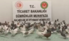 Ticaret Bakanlığı: 2025’te 85 bin 342 kaçak canlı hayvan ele geçirildi