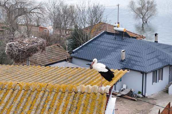 Karabatı: 15 yıllık hikaye sadakatin ve sevginin sembolü haline geldi Karabatı: 15 yıllık hikaye sadakatin ve sevginin sembolü haline geldi