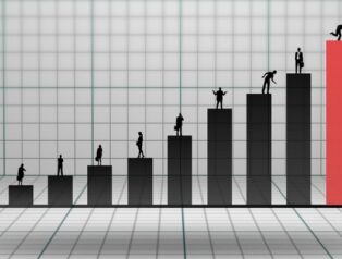 Gıpta Ofis’in 12 aylık faaliyet raporu