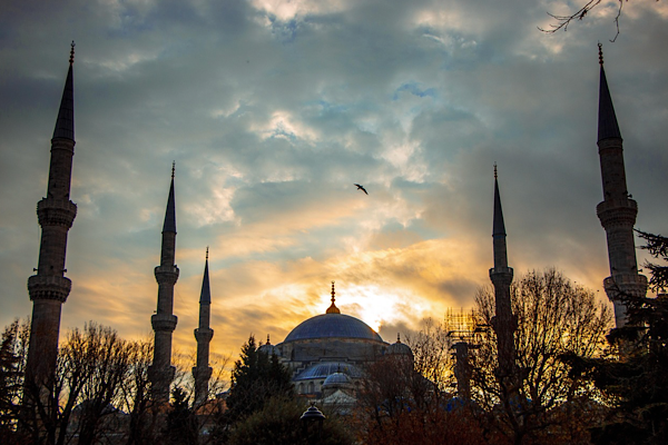 Bakan Ersoy: Tarihi camilerimizi, ramazan ayı ile birer birer yeniden ibadete açıyoruz Bakan Ersoy: Tarihi camilerimizi, ramazan ayı ile birer birer yeniden ibadete açıyoruz