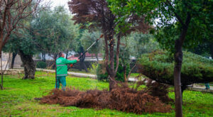 Milas’ta Ramazan ayı öncesinde cami avluları temizlendi Milas’ta Ramazan ayı öncesinde cami avluları temizlendi