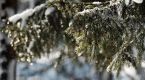 Meteoroloji’den kar yağışı uyarısı