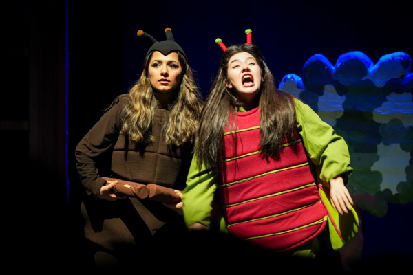 Trabzon’da “Ağustos Böceği ve Karınca” oyunu sahnelendi Trabzon’da “Ağustos Böceği ve Karınca” oyunu sahnelendi