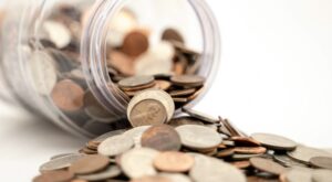 Selva Gıda’nın faaliyet raporu