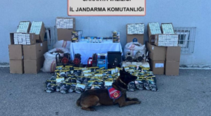 Sakarya’da kaçakçılık operasyonu Sakarya’da kaçakçılık operasyonu