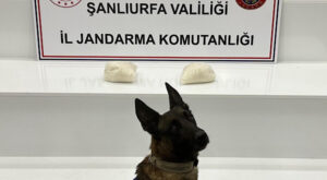 Şanlıurfa’da uyuşturucu operasyonu