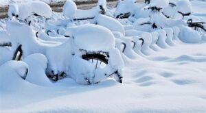 Ağrı’da olumsuz hava koşulları nedeniyle eğitime bir gün ara verildi