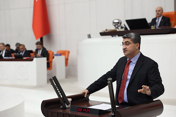 DEVA Partili Ekmen: Yetkili servislere çeki düzen verilmeli