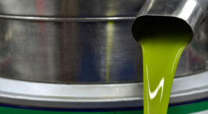 Zeytinyağı ihracatında düşüş