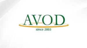 AVOD’un 12 aylık performansı