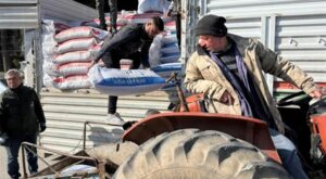 Sultanhisar’da üreticilere yem desteği sağlandı