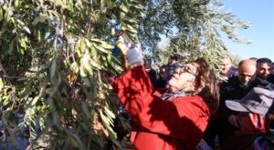 Nizip’te tarım ve hayvancılığa destek programı