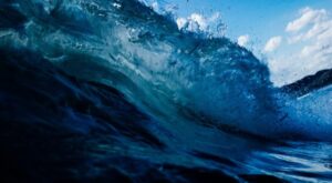 Türkiye, Hint Okyanusu Ton Balığı Komisyonu’nda gözlemci ülke oldu