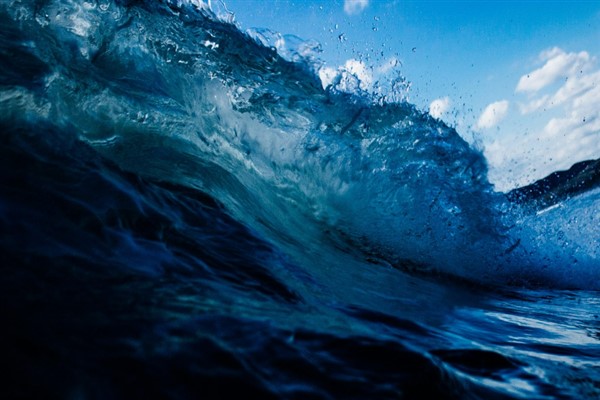 Türkiye, Hint Okyanusu Ton Balığı Komisyonu’nda gözlemci ülke oldu Türkiye, Hint Okyanusu Ton Balığı Komisyonu’nda gözlemci ülke oldu