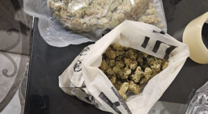 Bulgaristan’da Montana ve Lom bölgelerinde operasyon düzenlendi