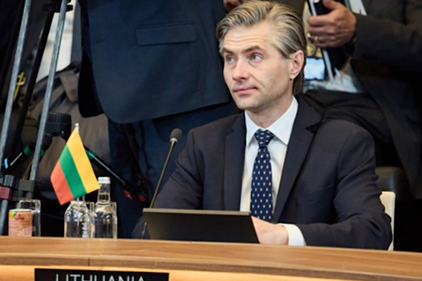 Budrys: Hiçbir yönetim, muhaliflerine ve vatandaşlarına işkence edebileceğini düşünmemeli