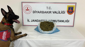 Diyarbakır’da aranan şahıslara, kaçakçılık ve uyuşturucuya yönelik operasyon