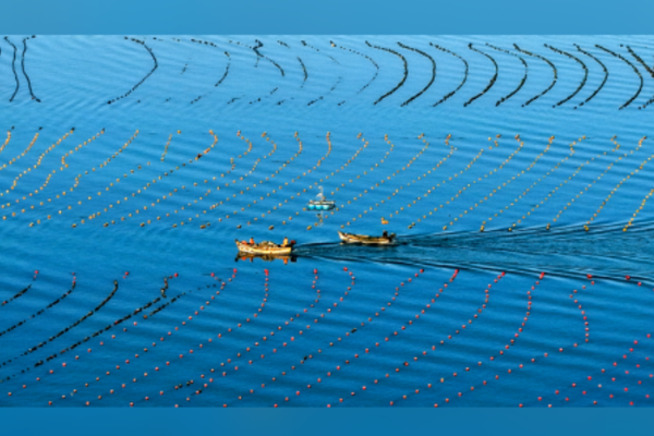 15. Beş Yıllık Plan’da deniz ekonomisini geliştirme vurgusu 15. Beş Yıllık Plan’da deniz ekonomisini geliştirme vurgusu