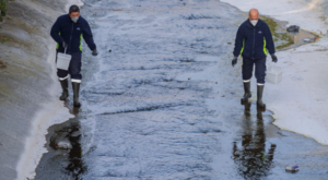 Büyükşehir, ilaçlama çalışmalarına devam ediyor