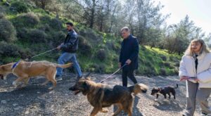 İzmir’de iki yılda 37 bin 146 hayvan kısırlaştırıldı