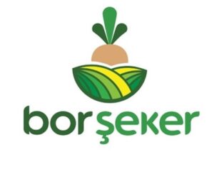 Bor Şeker, Adapazarı Şeker’in paylarını devralacak