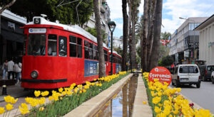 Antalya sokakları lale ve mevsimlik çiçeklerle renklendirildi