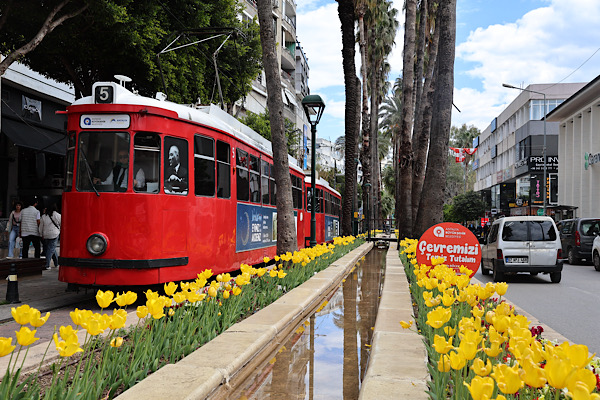 Antalya sokakları lale ve mevsimlik çiçeklerle renklendirildi Antalya sokakları lale ve mevsimlik çiçeklerle renklendirildi