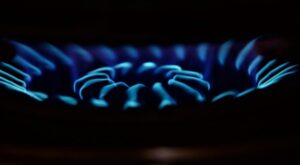 Naturelgaz, ihale kazandı