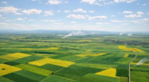 Alpu Termik Santrali projesinde iptal kararı