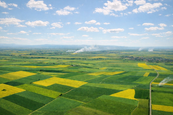 Alpu Termik Santrali projesinde iptal kararı