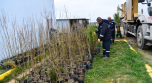 Keşan Belediyesi Hayvan Bakımevi’nde ağaçlandırma çalışmaları yürütülüyor Keşan Belediyesi Hayvan Bakımevi’nde ağaçlandırma çalışmaları yürütülüyor