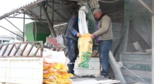 Antalya’da çiftçilere yem ezme desteği