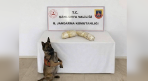 Şanlıurfa’da uyuşturucu operasyonu Şanlıurfa’da uyuşturucu operasyonu