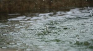 Meteoroloji’den kuvvetli yağış, rüzgar ve çığ uyarısı