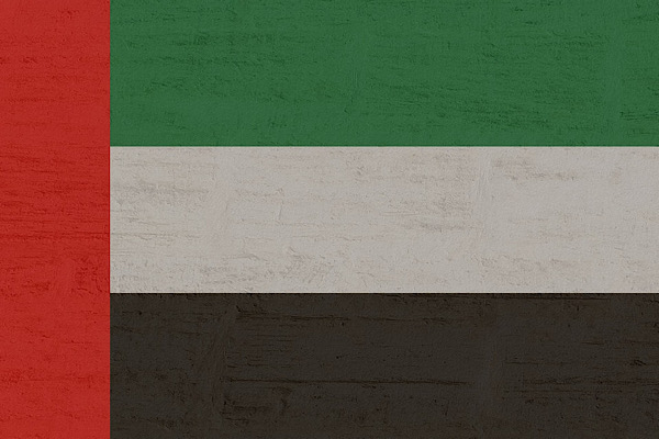 BAE Savunma Bakanlığı, 123 insansız hava aracını engellediğini açıkladı