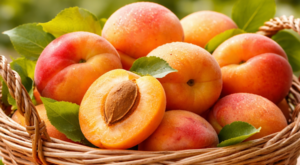 TÜİK-Bitkisel ürünlerde en yüksek yeterlilik derecesi kayısı ve zerdalide gerçekleşti