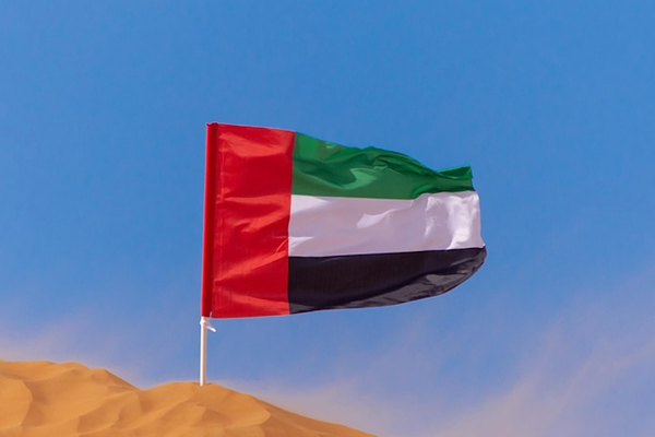 BAE Savunma Bakanlığı, 112 insansız hava aracının etkisiz hale getirildiğini bildirdi BAE Savunma Bakanlığı, 112 insansız hava aracının etkisiz hale getirildiğini bildirdi