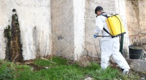 Mamak’ta haşere ve larva mücadelesi sürüyor