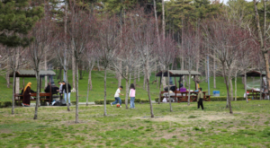 Ankaralılar, bayram tatilini mesire alanlarında geçirdi
