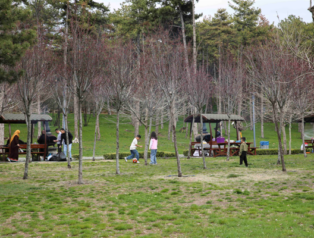 Ankaralılar, bayram tatilini mesire alanlarında geçirdi