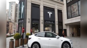 Yeni kurulan yabancı sermayeli işletmelerin sayısında yüzde 14 artış