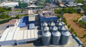 Türkiye’nin yeni ekmeği Konya’da geliştirildi