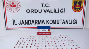 Ordu’da 147 adet sentetik ecza hap ele geçirildi
