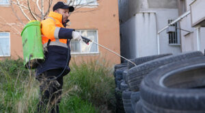 Yalova’da sinekle mücadele çalışmaları devam ediyor